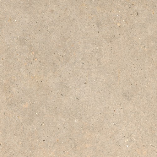 ELYSIAN EY09 GOLD CATALAN.jpg